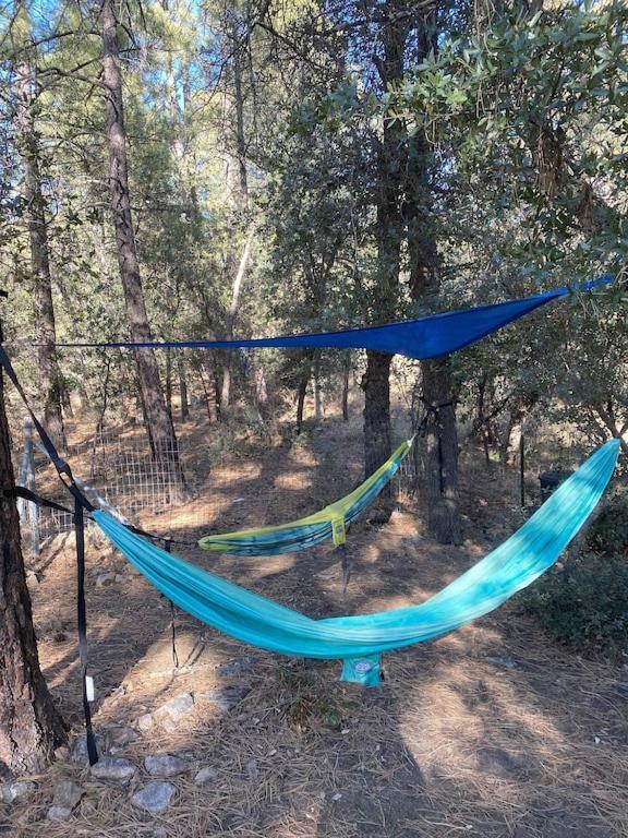הוילה פרסקוט National Forest Retreat - Relax And Recharge! Two Night Minimum מראה חיצוני תמונה